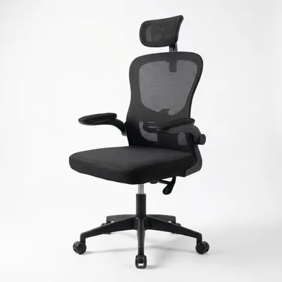 Cadeira de Escritório Ergonômica Premium — Encosto com tela mesh, apoio lombar e de cabeça ajustáveis, conforto em posição relax (40 graus), suporta até120kg, cor preta.