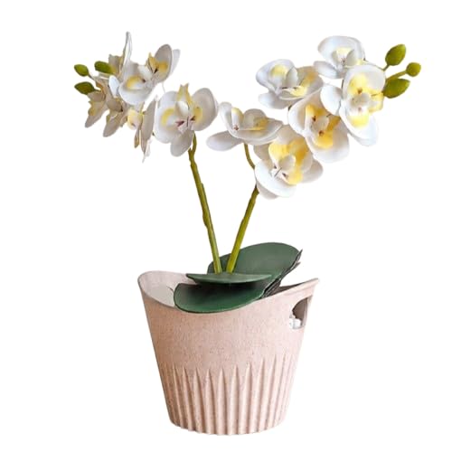 Arranjo Marfim com Mini Orquídeas Artificiais | Decoração Delicada, Versátil