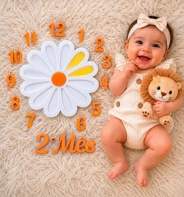 Kit Mesversário Margaridas - Cenário Completo para Fotos do Bebê - 25 Peças - Maternidade