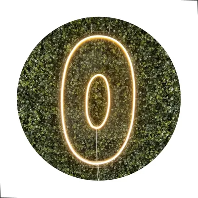 Números De Neon Led 0 A 9 Painel Placa Decoração Festa 50 Cm