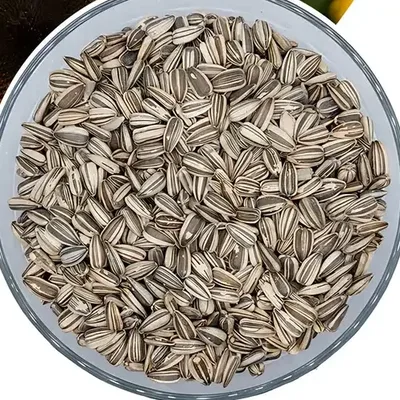 1.000 Sementes de Girassol Helianthus Annuus L. Multissol Para Plantio