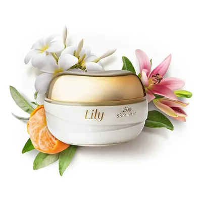 Creme Hidratante Acetinado Lily Boticário 250g Lily Tradicional