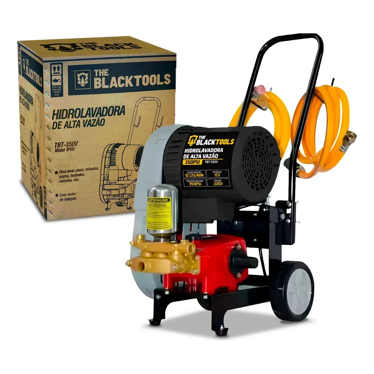 Lavadora De Alta Vazão 1hp 350 Libras Monofásico 220v The Black Tools TBT-350V