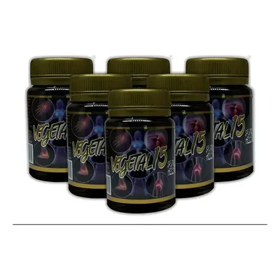 Kit 6 Vegetal 15 Original Natural Nova Embalagem - Premium