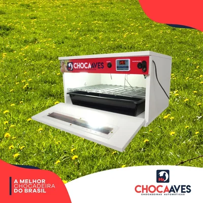 Chocadeira 70 Ovos Com Ovoscópio, 100% Automática - ChocaAves
