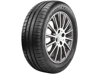 Pneu Goodyear Aro 15 Efficientgrip Performance 195/65R15 91H