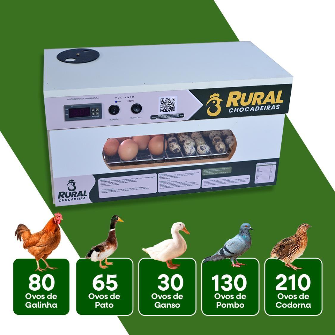 Chocadeira De Ovos 80 A 90 com Rolagem Automática e Ovoscópio, APP de Bônus - RURALCHOCADEIRAS