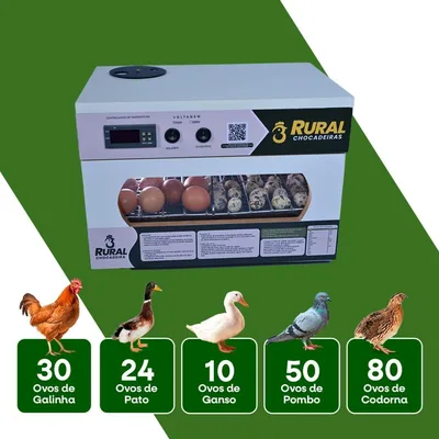 Chocadeira de Ovos 35 a 45 Ovos Com Rolagem Automática - RURALCHOCADEIRAS