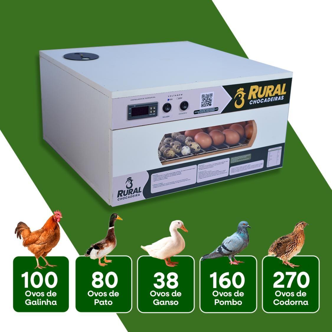 Chocadeira De Ovos 100 A 110 com Rolagem Automática e ovoscopio, Ganhe APP BÔNUS - RURALCHOCADEIRAS